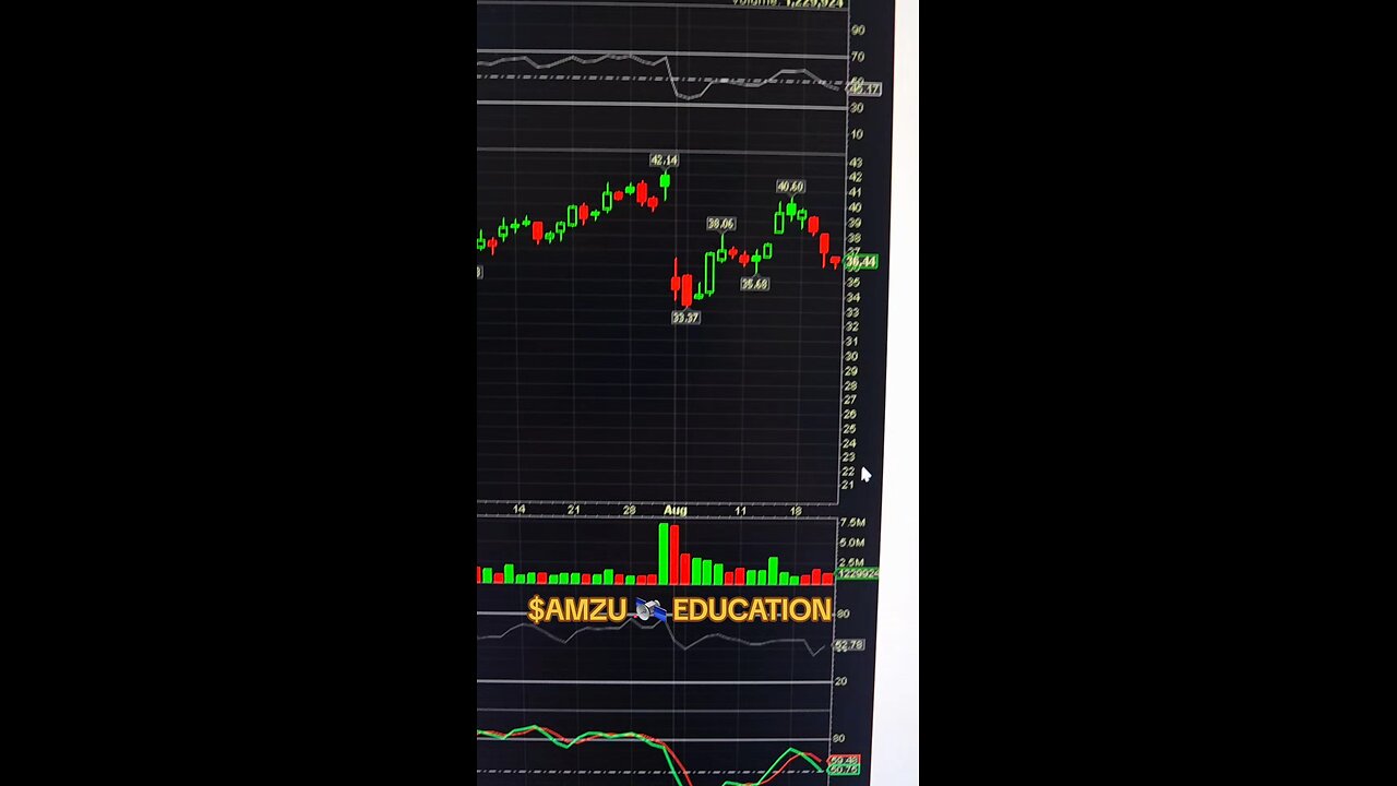$AMZU 🛰