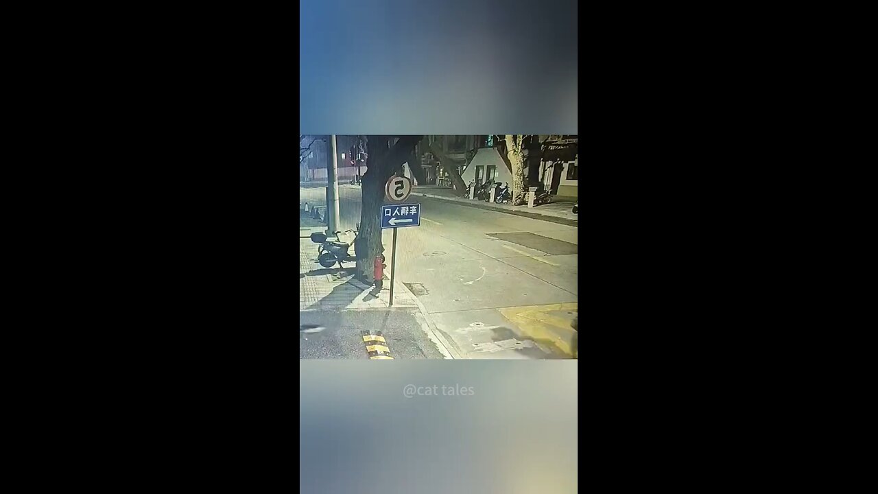 traviesos