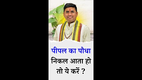 पीपल का पौधा निकल आता हो तो ये करें - Pt Virender Shukla-