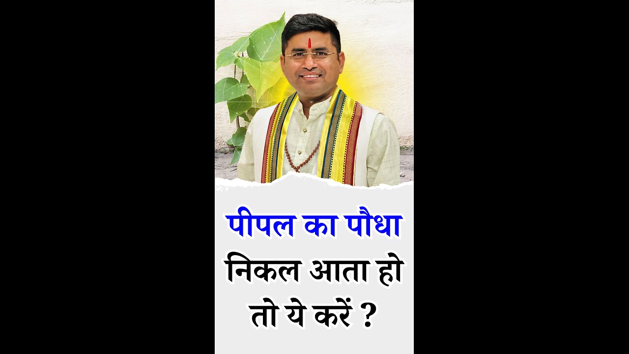 पीपल का पौधा निकल आता हो तो ये करें - Pt Virender Shukla-