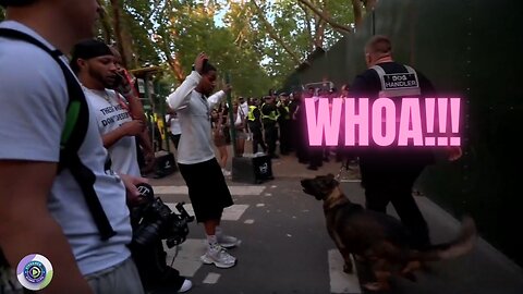 DDG Almost got ATTACKED by a DOG at Wireless Festival *Full Video*