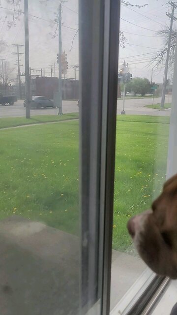 Be a friend not a bully