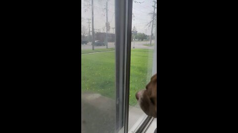 Be a friend not a bully