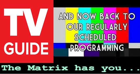 YOUR REGULAR PROGRAMING - THE MATRIX - THE PROGRAM GUIDING YOU