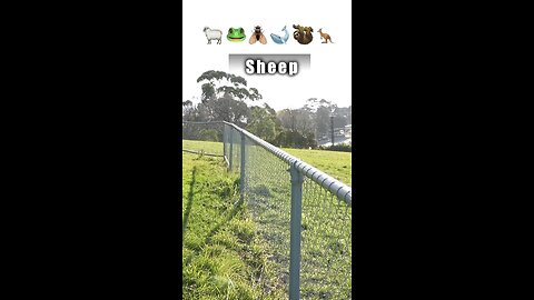 How animal go over a fence