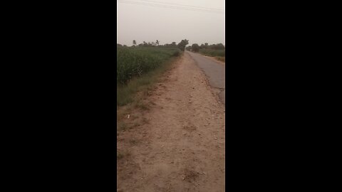 my village beautiful video