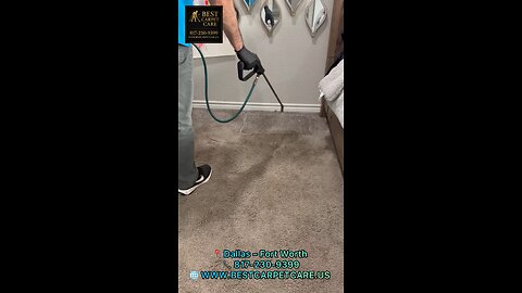 Pet Urine Odor & Stain Removal — Dog Urine Stains? We Fix It 📍 Dallas – Fort Worth 📞 817-230-9399