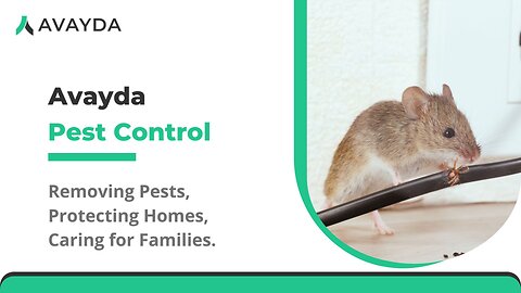 Keep Toronto Residences Safe with Eco-Friendly Pest Care by Avayda