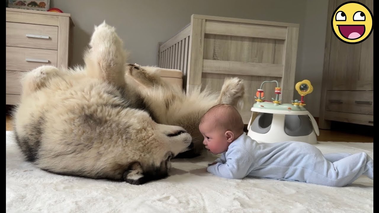 When Kids and Animals Are Best Friends… Pure Joy! 💞🐶