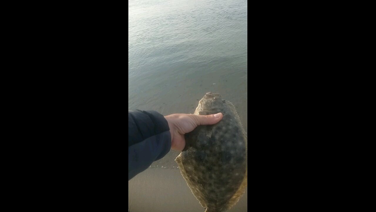 A great FLUKE'N day!!!