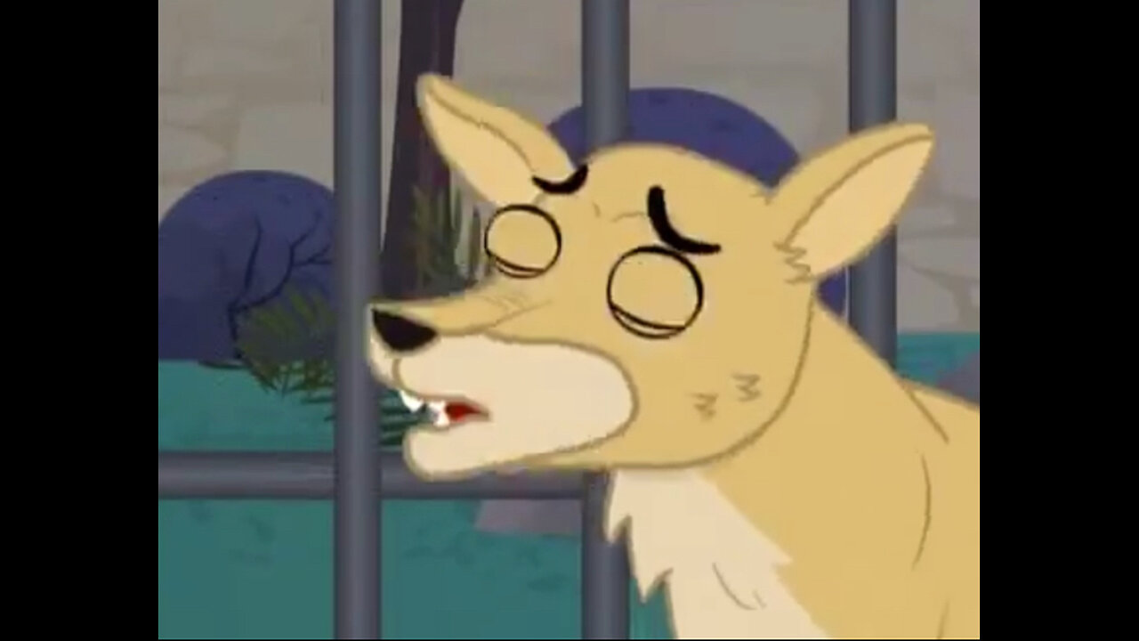 a dingo ate my baby