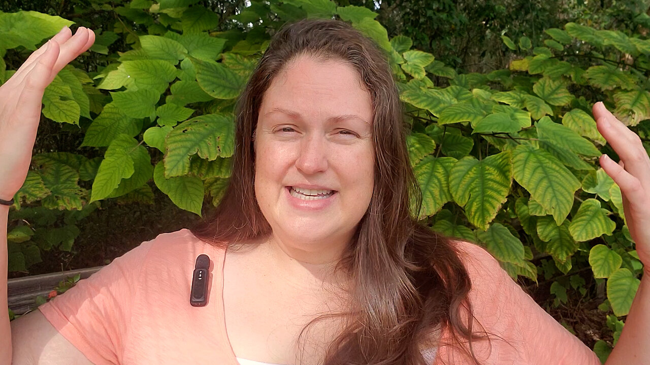 What Hidden Gifts Can a Chaotic Day Reveal? (Part 8) ✨ Health Chronicles 🩺