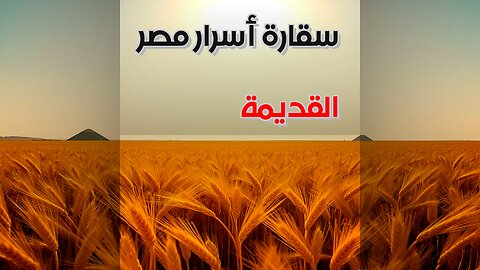 سقارة مكتبة الآلهة تكشف أسرار مصر القديمة؟ ️