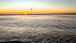 Spain 4K Sunrise Beach Walk in Malaga