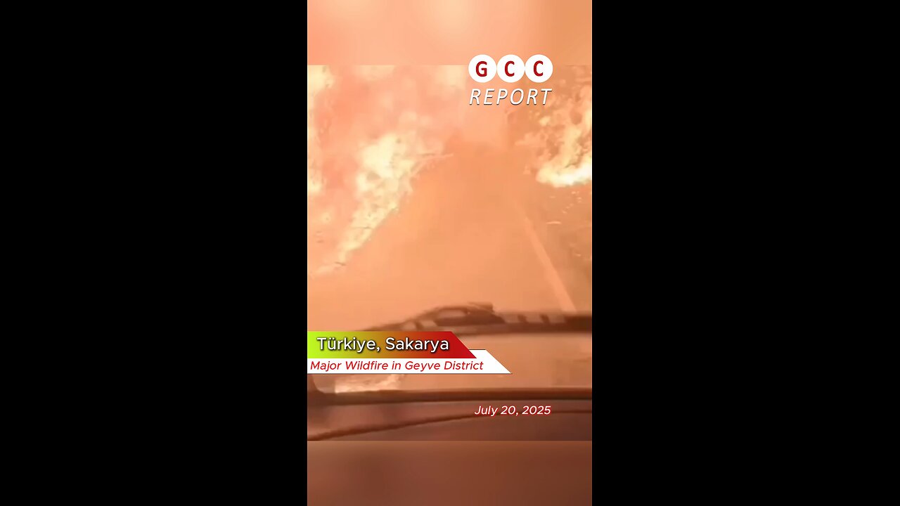 #Türkiye #Wildfire #Sakarya #Geyve #destruction #anomaly #weather #climatechange 🇹🇷