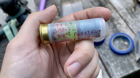 1 3/8 Ounce 12 Gauge Pellet Slug Sent By A Viewer