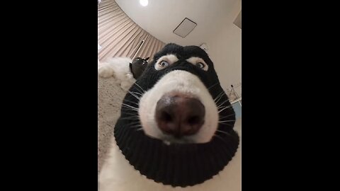 you see me?