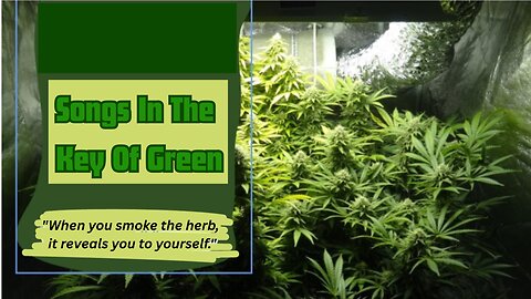 Songs In The Key Of Green