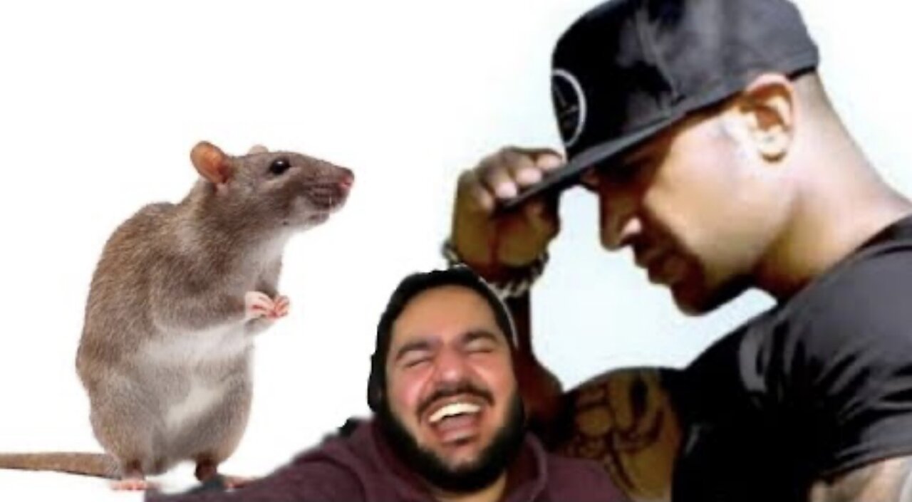 Shabir lacht ofux uit!🤣