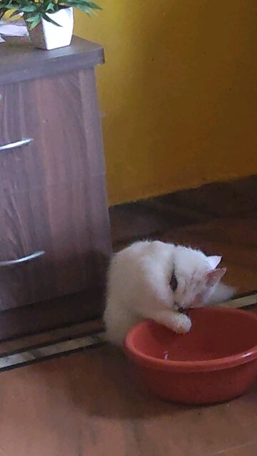 Drink 🚰 Like You Mean It