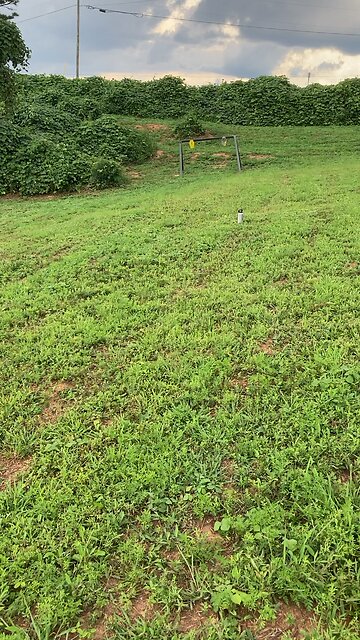 More Fun Than Battlefield 6 - Shooting Steel Targets