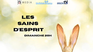 Les Sains D'esprit | 18 mai 2025
