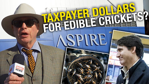 Canadians don’t have much of an appetite for edible crickets…