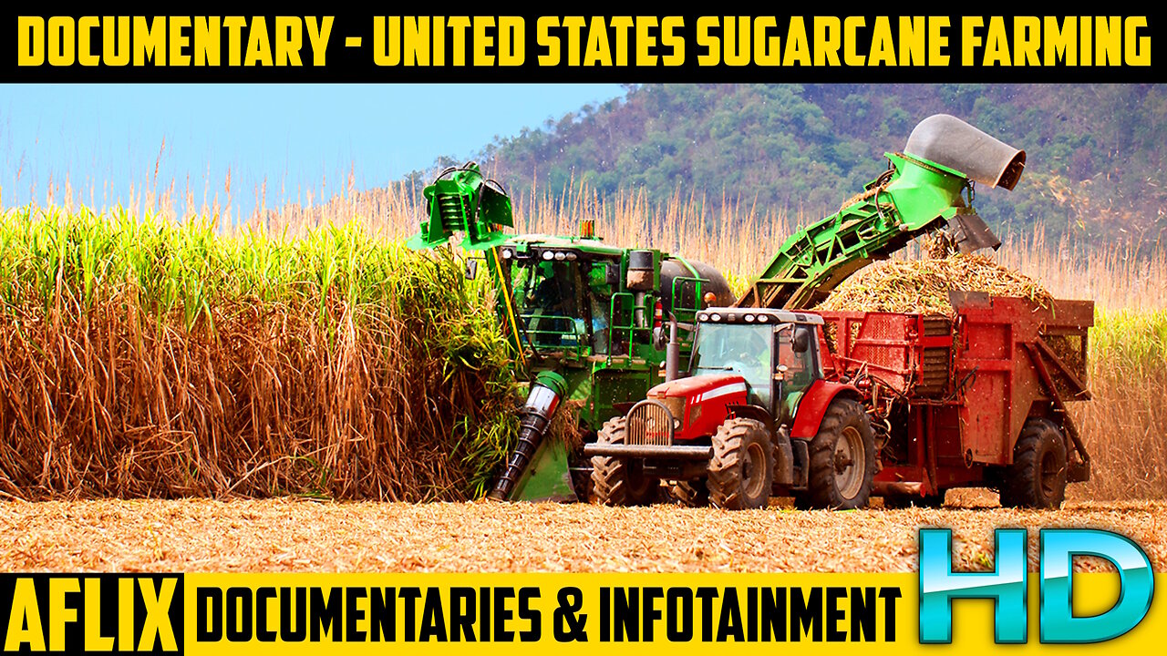 Documentary: United States Sugarcane Farming