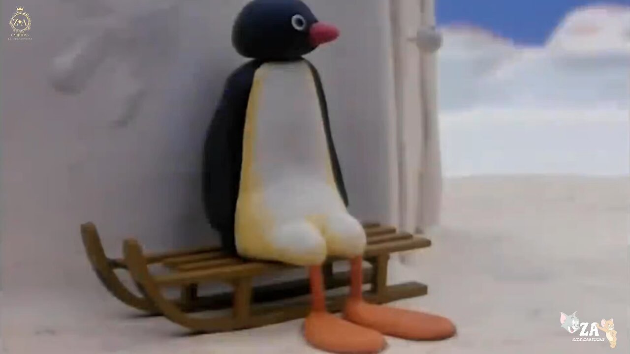 Pingu Cartoons