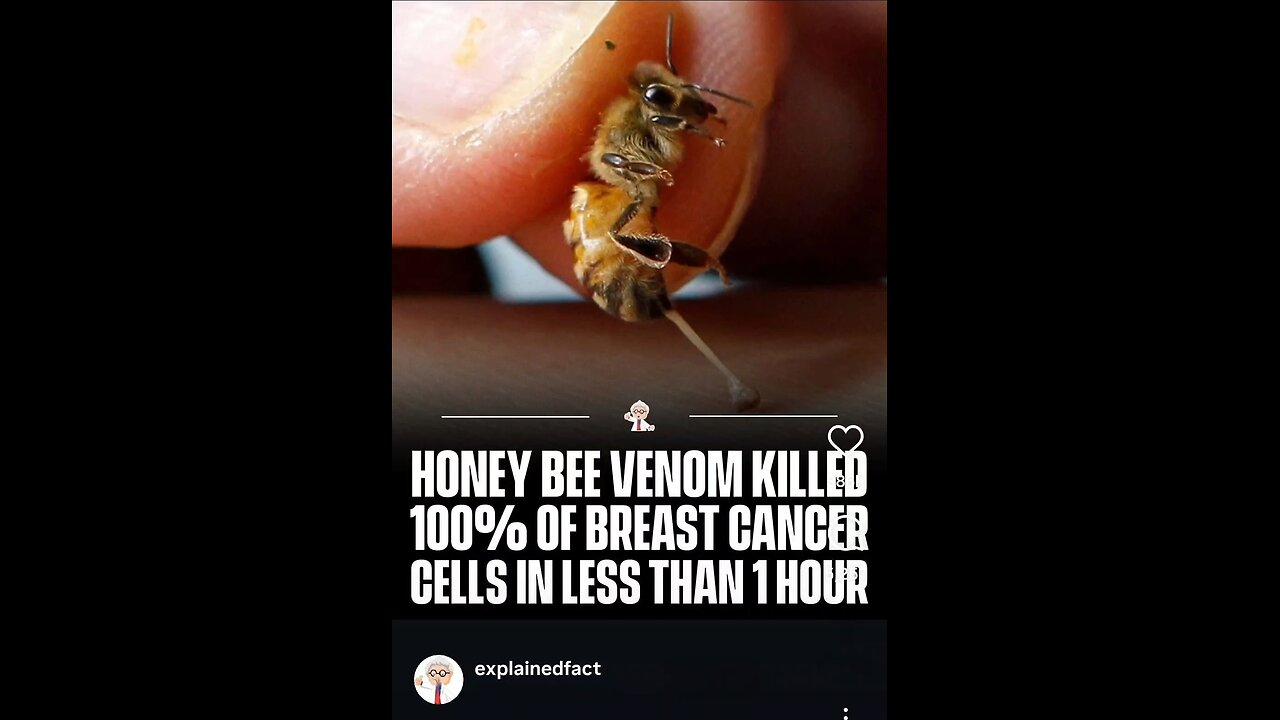 How Honeybee Venom Can Cure Cancer