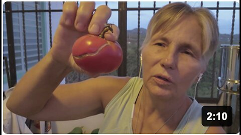 Cracking Tomatoes? This is why!