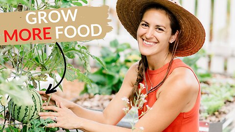 How Garden Planning Boosts Your Harvest Every Season