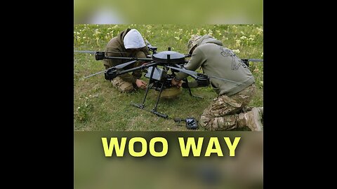 Woo Way Report @ 11/23/25