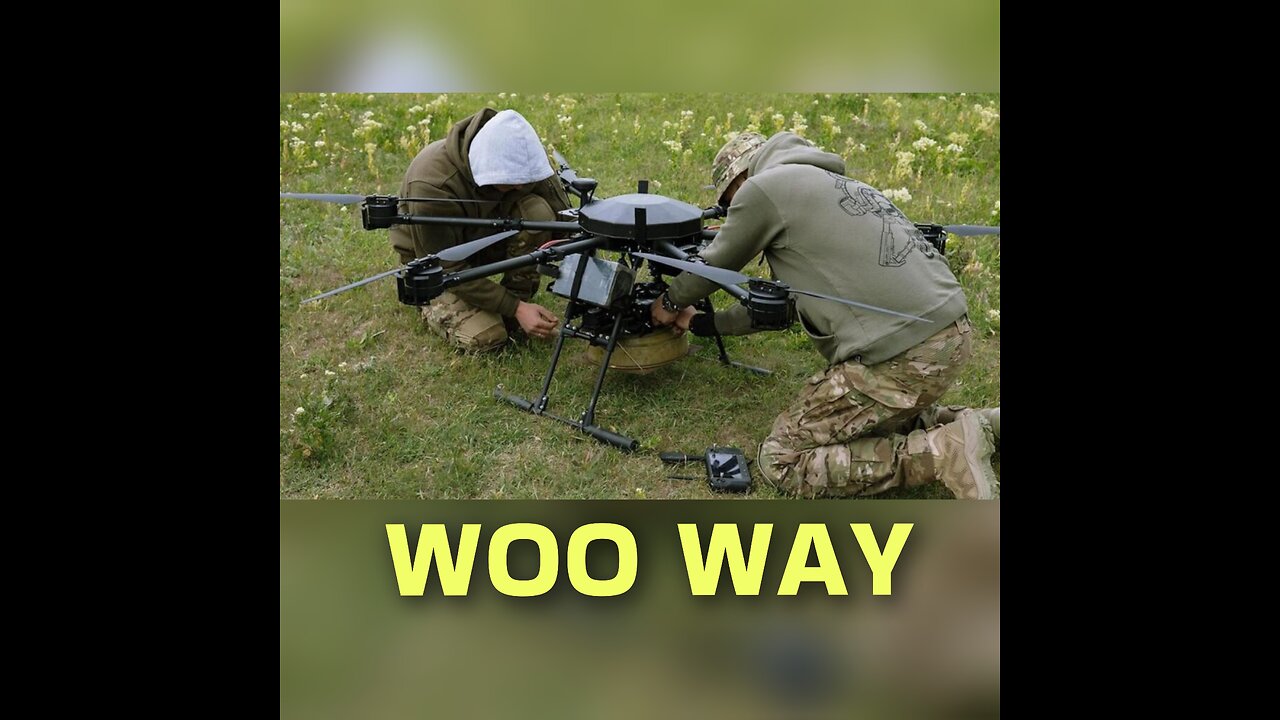 Woo Way Report @ 11/23/25