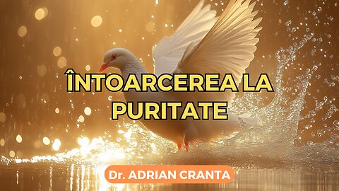 Întoarcerea la puritate