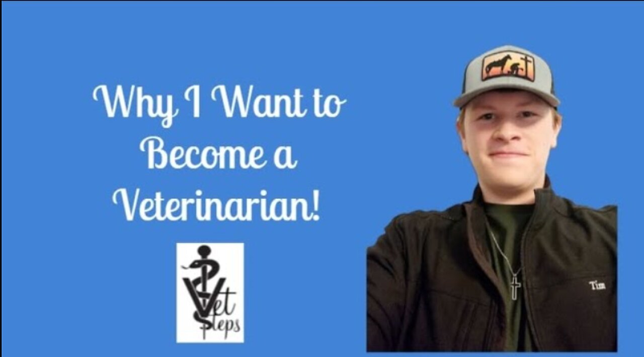 Why I Want to Become a Veterinarian! 🤔