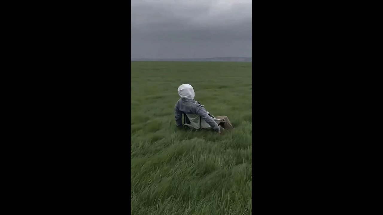 Peaceful Vibes ☁️☁️🍃