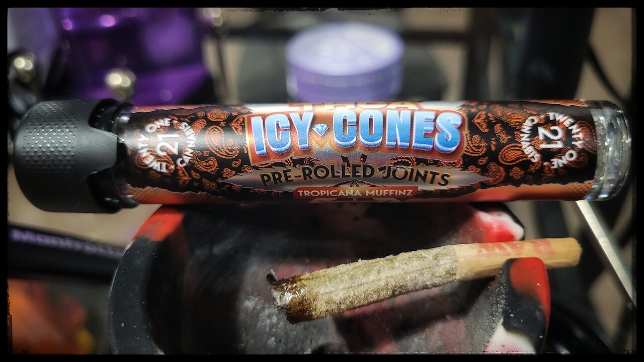 TROPICANA MUFFINZ /TWENTY ONE 🌱🌱 ● DR GANJA