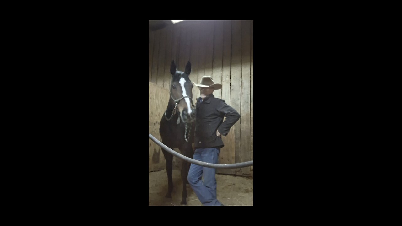 Explanation of Stage 1 horse starting