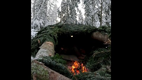 How to build a warm bushcraft shelter to protect from extreme cold for overnight camp?