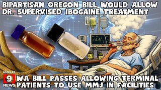 Bipartisan Oregon Bill Would Allow Physician-Supervised Ibogaine Treatment