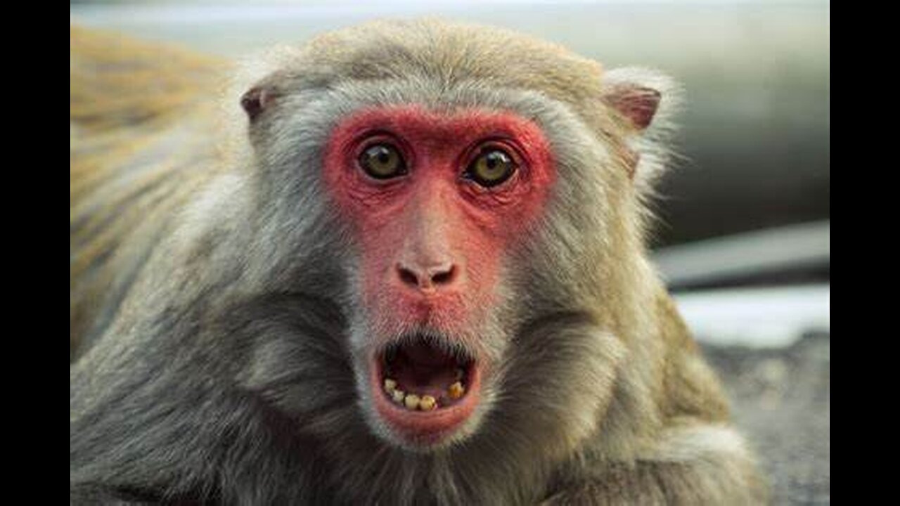 UC Berkeley, DOE & DARPA are about nano lobotomy augmentation of humans