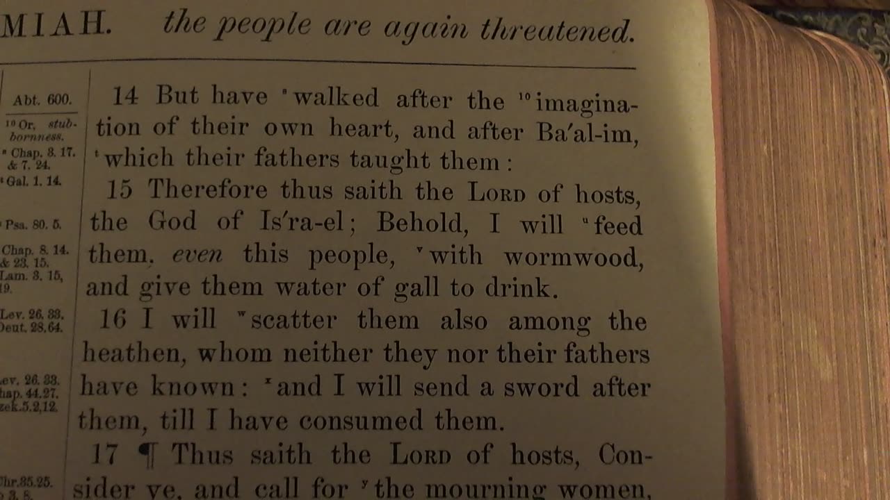 Law and Gospel