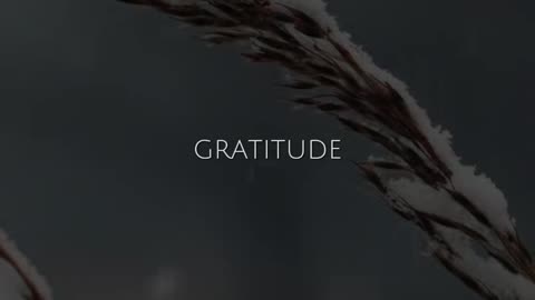 🙏✨ Worship God | A Prayer for Praise & Adoration | InGodWeTrustDaily