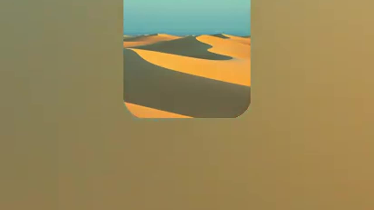 Arabic 50