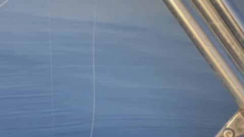Strange Behaviour of the Sea Before an Earthquake