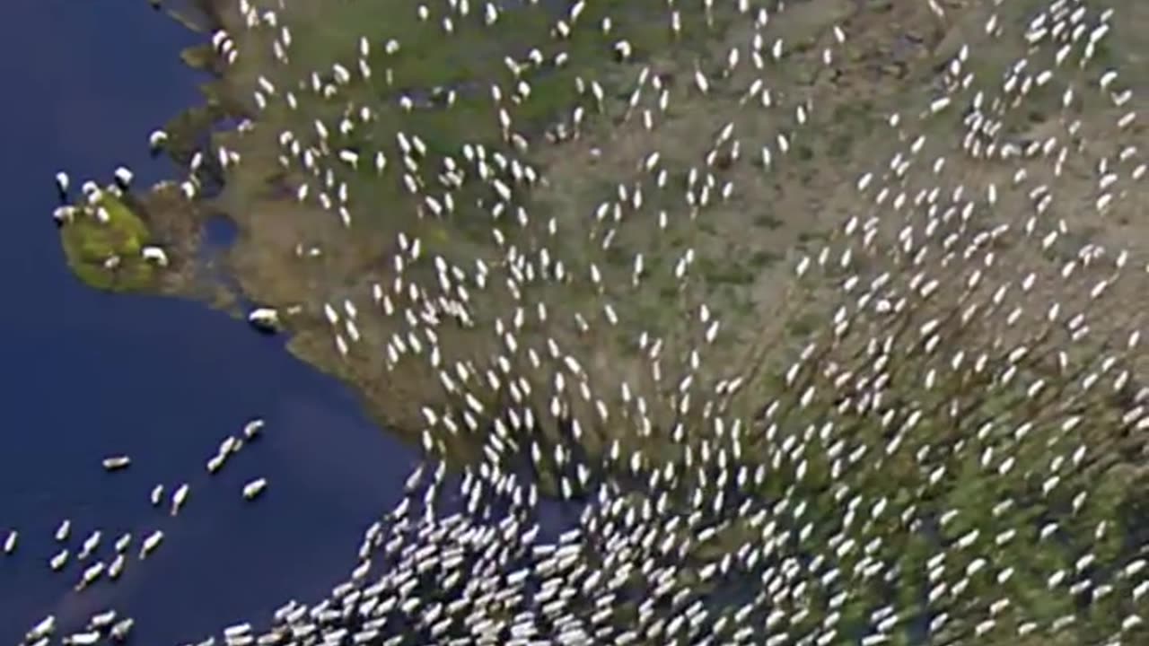 #wakeupandmakeup #fyp #Bluestone#viral