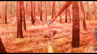 Ukraine war combat footage 9/2/25
