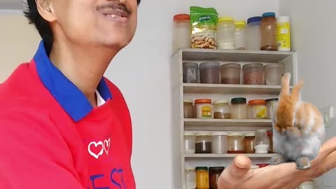 Magic Dekho-47-Balancing Rabit-Small-Tiktok