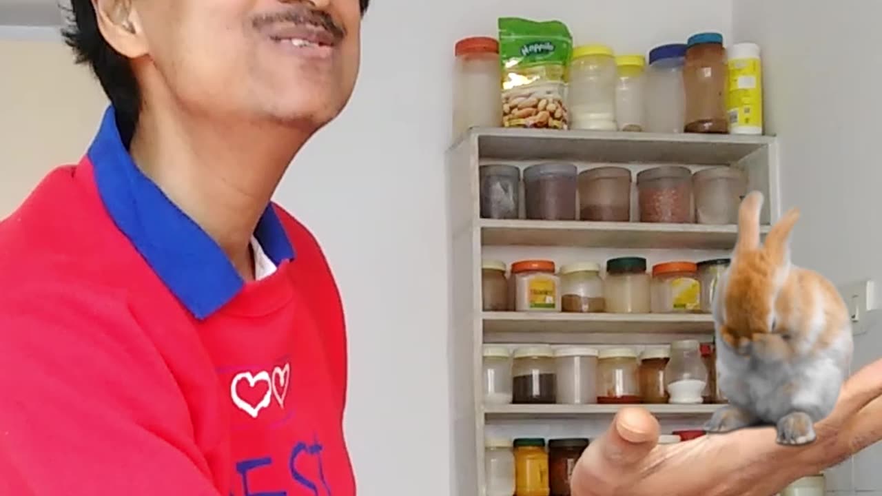 Magic Dekho-47-Balancing Rabit-Small-Tiktok